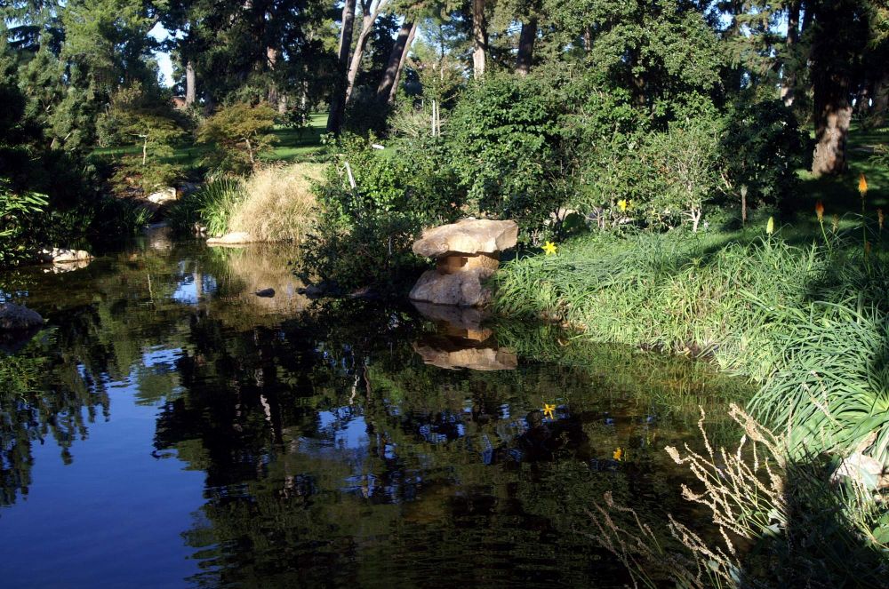 bassin avec pagode eclairante
